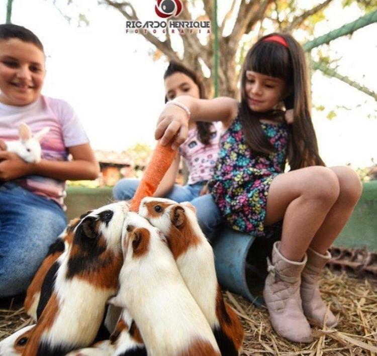 Pousada Fazenda Santa Fe Bezerros Kültér fotó